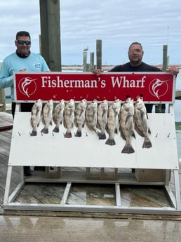 Black Drum Fishing in Port Aransas, Texas