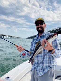 Striped Bass fishing in Virginia Beach, Virginia