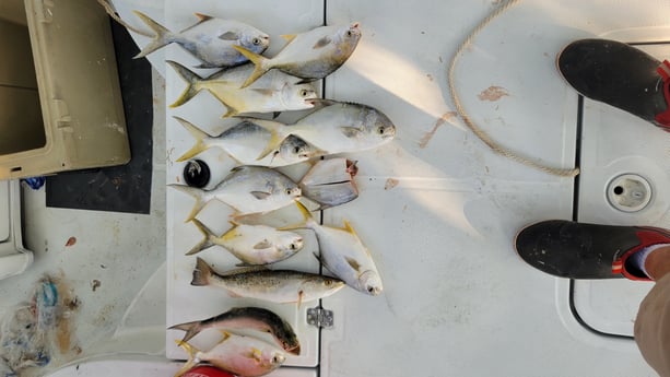 Fishing in Biloxi, Mississippi