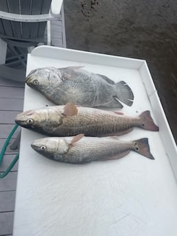 Fishing in Loxahatchee Groves, Florida