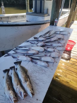 Fishing in Saint Bernard, Louisiana
