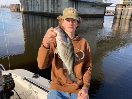Sheepshead fishing in Wrightsville Beach, North Carolina