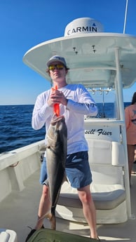 Fishing in Panama City, Florida