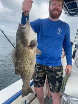 Gag Grouper Fishing in Destin, Florida
