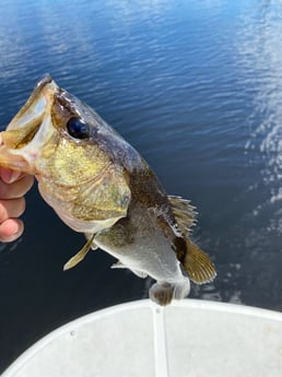Fishing in Pembroke Pines, Florida