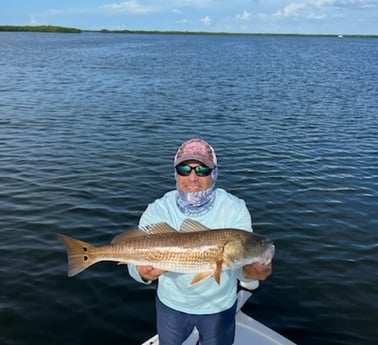Redfish fishing in Placida, Florida