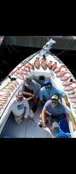 Fishing in Tierra Verde, Florida