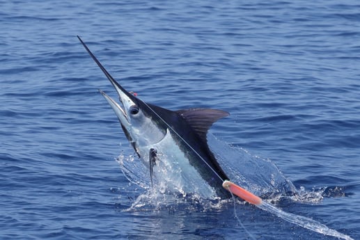 Fishing in Kailua-Kona, Hawaii