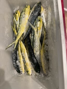 Fishing in Santa Rosa Beach, Florida