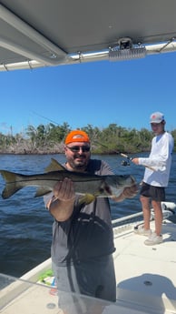 Fishing in Boca Grande, Florida