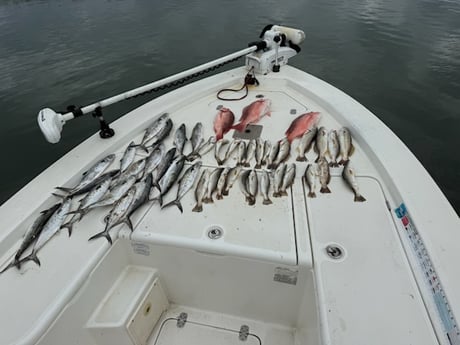 Fishing in Orange Beach, Alabama