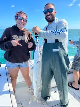 Barracuda Fishing in Miami, Florida