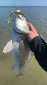 Redfish Fishing in