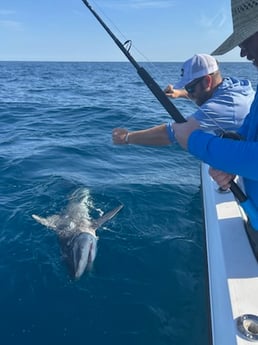 Fishing in Port Orange, Florida
