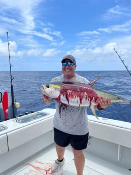 Yellowfin Tuna Fishing in Boothville-Venice, Louisiana