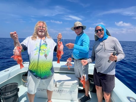 Fishing in Marathon, Florida