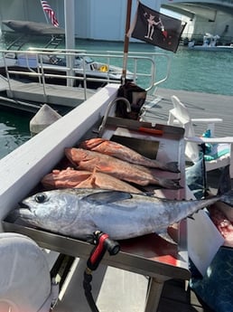 Fishing in St. Petersburg, Florida
