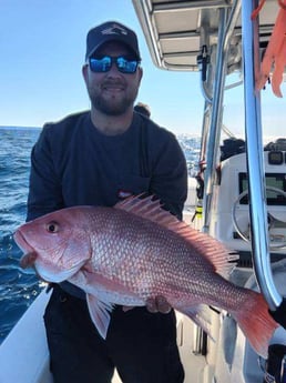 Red Snapper Fishing in Clearwater, Florida