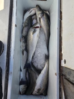 Fishing in Keyport, New Jersey
