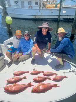 Red Snapper fishing in Panama City, Florida