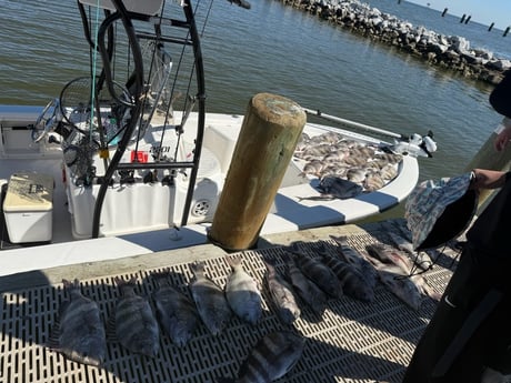 Fishing in Summerdale, Alabama