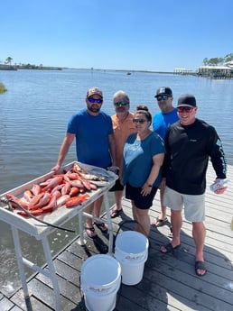 Rockfish, Vermillion Snapper Fishing in Santa Rosa Beach, Florida