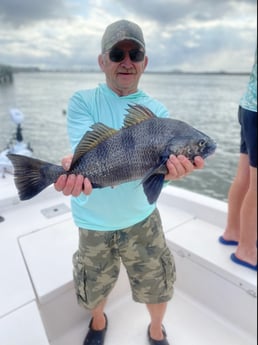 Black Drum Fishing in St. Augustine, Florida
