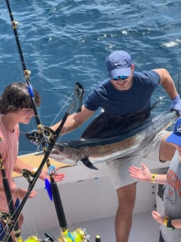 Sailfish Fishing in West Palm Beach, Florida