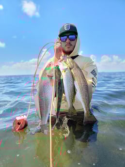 Redfish, Speckled Trout / Spotted Seatrout Fishing in Rio Hondo, Texas