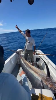 Fishing in San José del Cabo, Mexico
