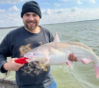 Blue Catfish Fishing in Dallas, Texas