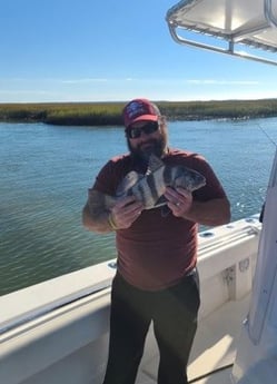 Black Drum Fishing in Mt Pleasant, South Carolina