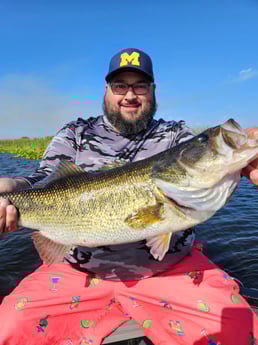 Largemouth Bass Fishing in