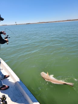 Redfish fishing in Port O'Connor, Texas