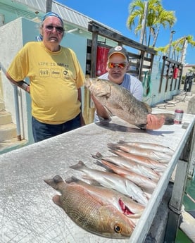 Black Drum fishing in Cudjoe Key, Florida