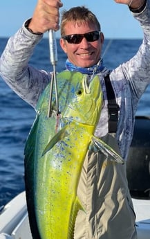 Mahi Mahi / Dorado fishing in Charleston, South Carolina
