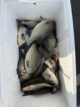 Fishing in Salisbury, North Carolina