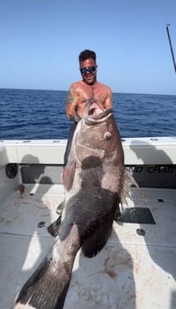 Warsaw Grouper Fishing in Key West, Florida