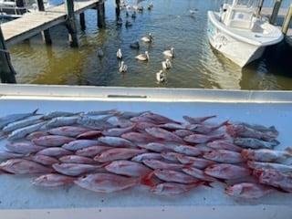 Fishing in Foley, Alabama