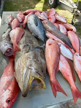 Fishing in Gulf Shores, Alabama