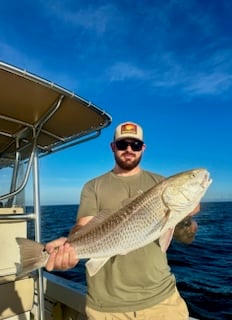 Fishing in Sarasota, Florida