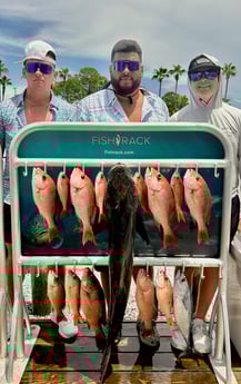 Fishing in Shalimar, Florida