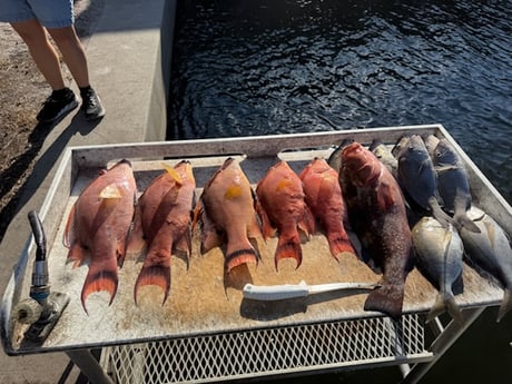 Fishing in Bradenton, Florida