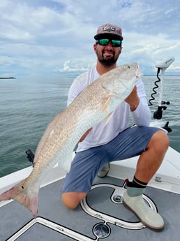 Fishing in St. Petersburg, Florida