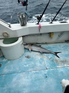 Amberjack Fishing in West Palm Beach, Florida