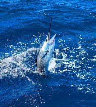 Fishing in Islamorada, Florida