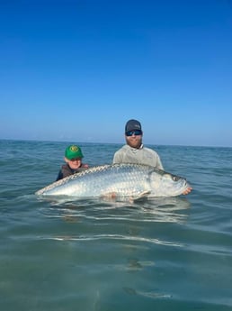 Tarpon Fishing in St. Petersburg, Florida