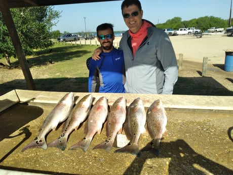 Redfish Fishing in San Antonio, Texas