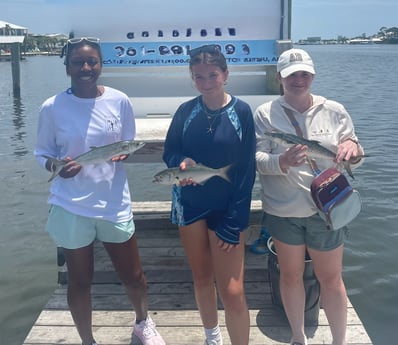 Fishing in Orange Beach, Alabama