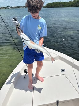 Fishing in Sarasota, Florida